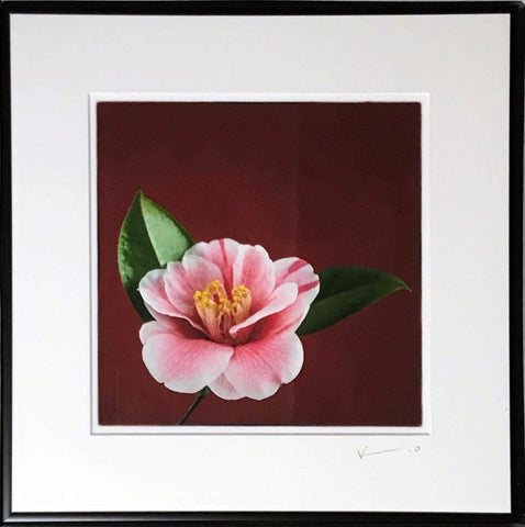 Untitled (Pink Flower)