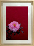 Untitled #2