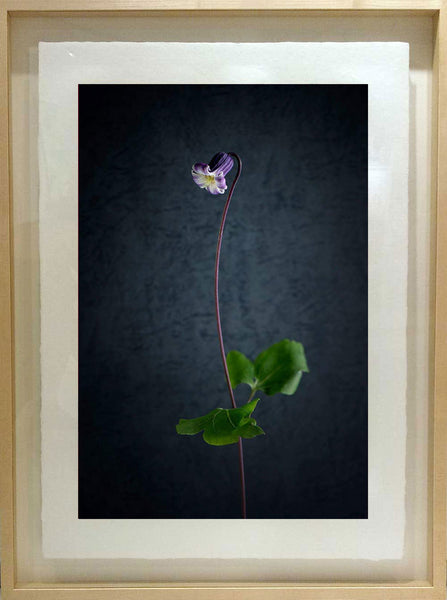 Untitled #1